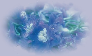 fon_5_1_arnusha