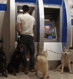 f0caf837135e9e9adf3bb605c757f1b3