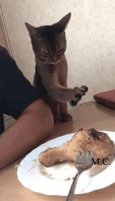 e5bfd4988b554de5e9aba34d2234fade