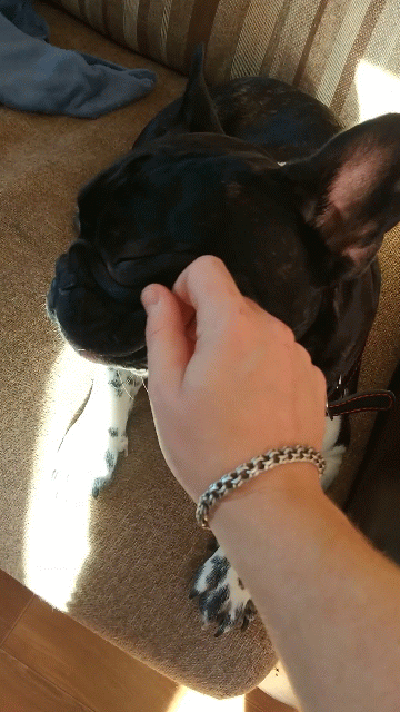 VID_20180825_083724-ANIMATION