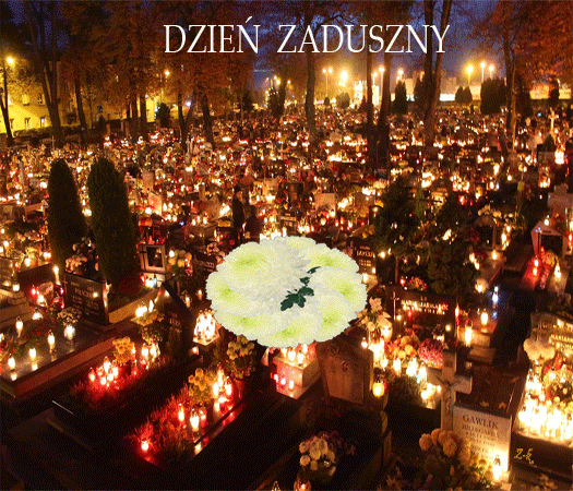 zk-chryzamtemy-na-cmantarzu-dzien-zaduszny-525