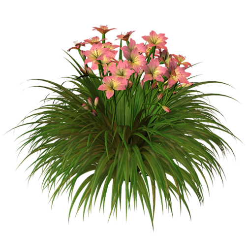 0_71168_1d4a44f3_L_zps61fe9560 (1)