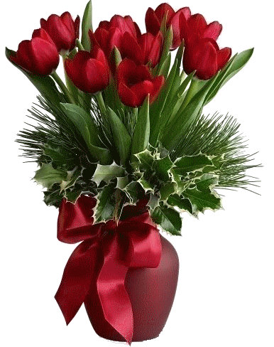 97a77d5faa03d54730e484fqm6_zps48e74923