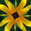 fon_3_1_arnusha
