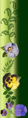 fon_3_2_arnusha