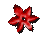 _2_arnusha