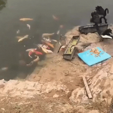 7991f152e4802bdad4aad7c86bfb42e1