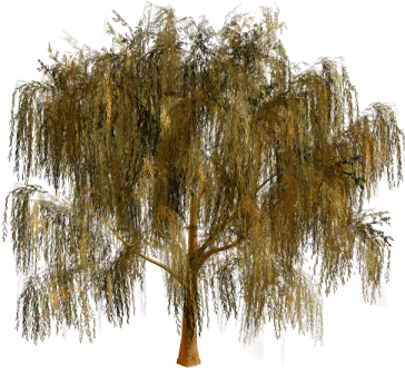 0_15f832_d410f52d_orig