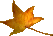 35_6