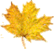 _1_arnusha