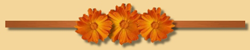 _1_arnusha