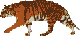 jivotniea-3755