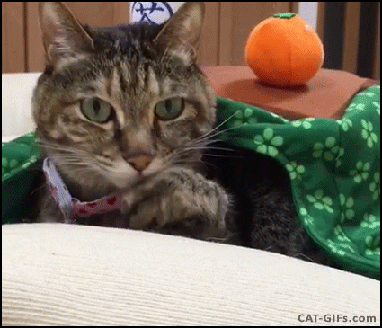 7c654c7ef91b957adf0c9318b77a9c80