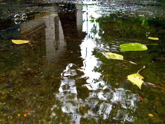 ...еще один Дождь мой Дом сторожит...