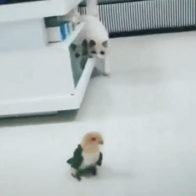 4e164f6b2b8b40264611c9406a462709