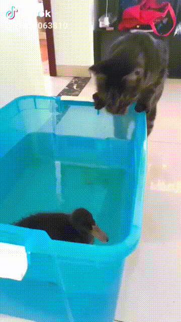 fe97d3e7e3304eab0184925aed7bce7e