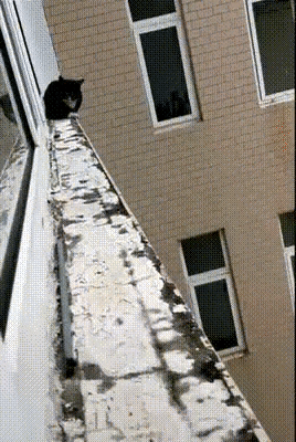 e35242cf96e8a4b007d985f06d09aaa3