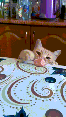 f9629b9933d93adec74ef33ce4e5b706