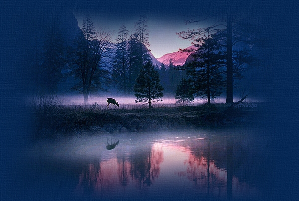 fon_зима_arnusha