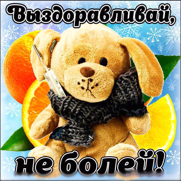 87f975a3be29641ed0290788fb7604d853dced303684636