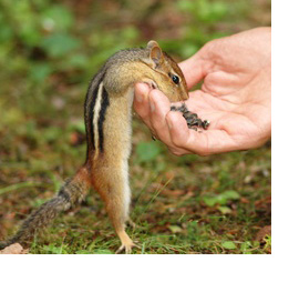 400_F_134168_XIoTvi1gymi1gUQMAbuZrAclQNJFhU