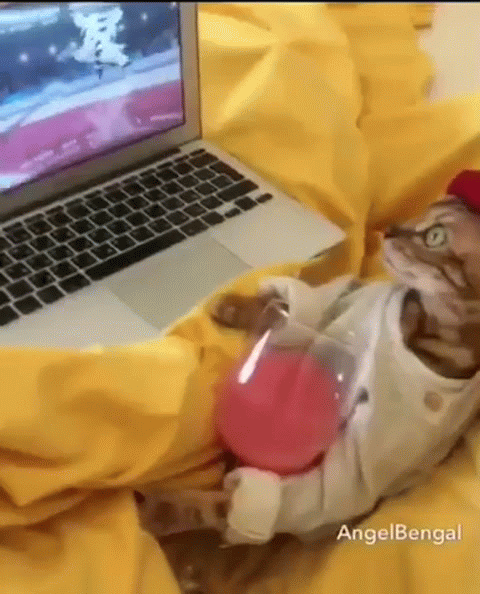 buildgifcom-1253679-1541750072