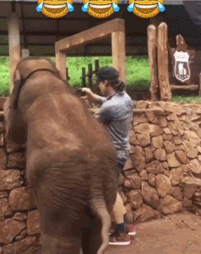 1af07bd51754864338494b77c6cd889e (1)