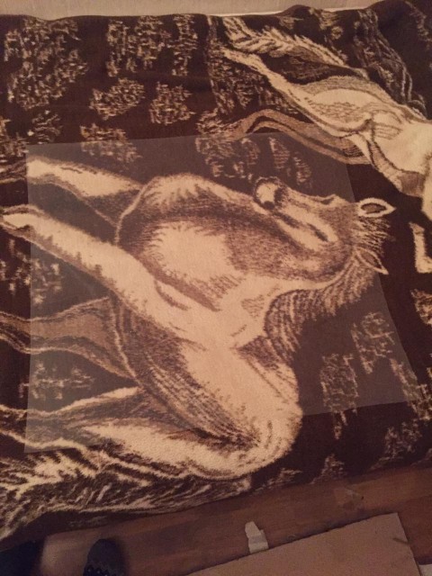 DA18A9A4-4467-4A1E-92C5-E4E14E8AC1ED