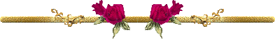 305b411223f1