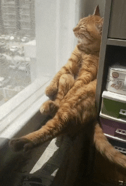 98920def792d15f92d56b2a372383364 (1)