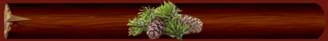 _10_arnusha