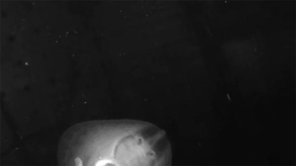 0024