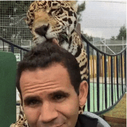 Я тебя помою