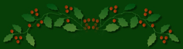 _12_arnusha