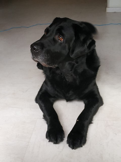 WhatsApp Image 2018-12-26 at 16.07.34