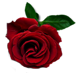0_8efc8_cf440c4e_orig