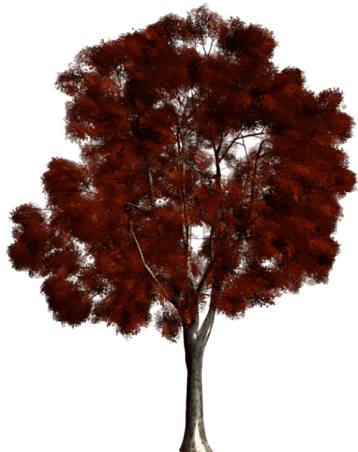 0_1d15c7_c985a4d2_orig