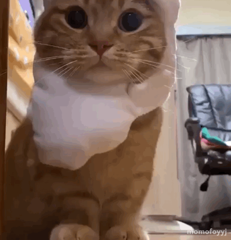 KOTE