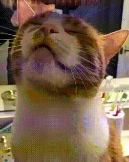 KOTE_3