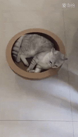 KOTE
