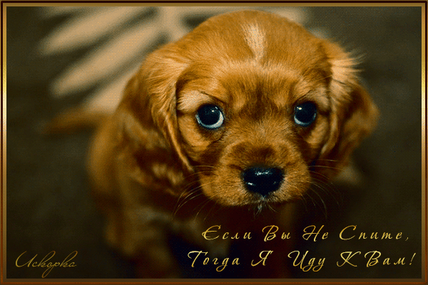 -вы-нее-спите-тогда-я-иду-к-вам