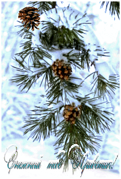 ezgif-4-8c476bd3e8c5