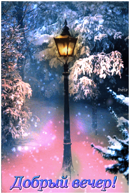 154661295474867983 (1)