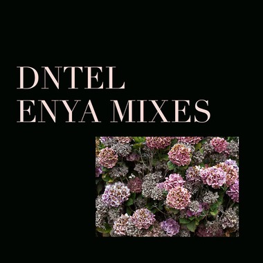 Dntel11