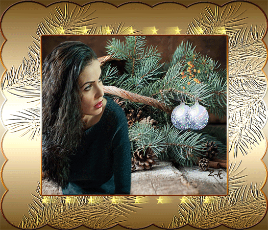 04-zk-z-galazkami-jodly