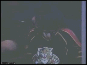 485213_7547514fd05a3428fda73b959972c2e2d020d994