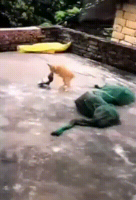 3d808e6506b842ef5431ea41b4c0efbf