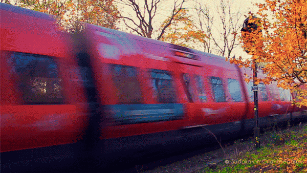 gifs_12