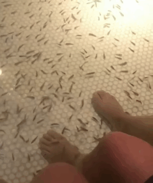 https__vk_com_ebkgif