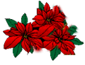 _14_arnusha